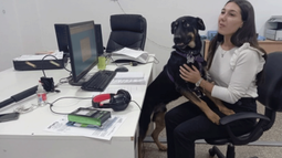 Una empresa cordobesa permite a sus empleados ir a trabajar con mascotas