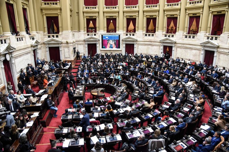 DIPUTADOS. El oficialismo quiere volver al recinto en dos semanas. &nbsp;