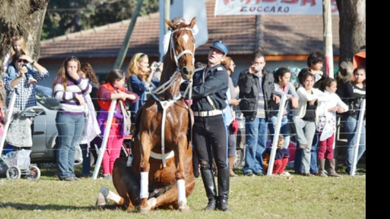 Más de 2.000 personas disfrutaron de las piruetas de caballos y jinetes.