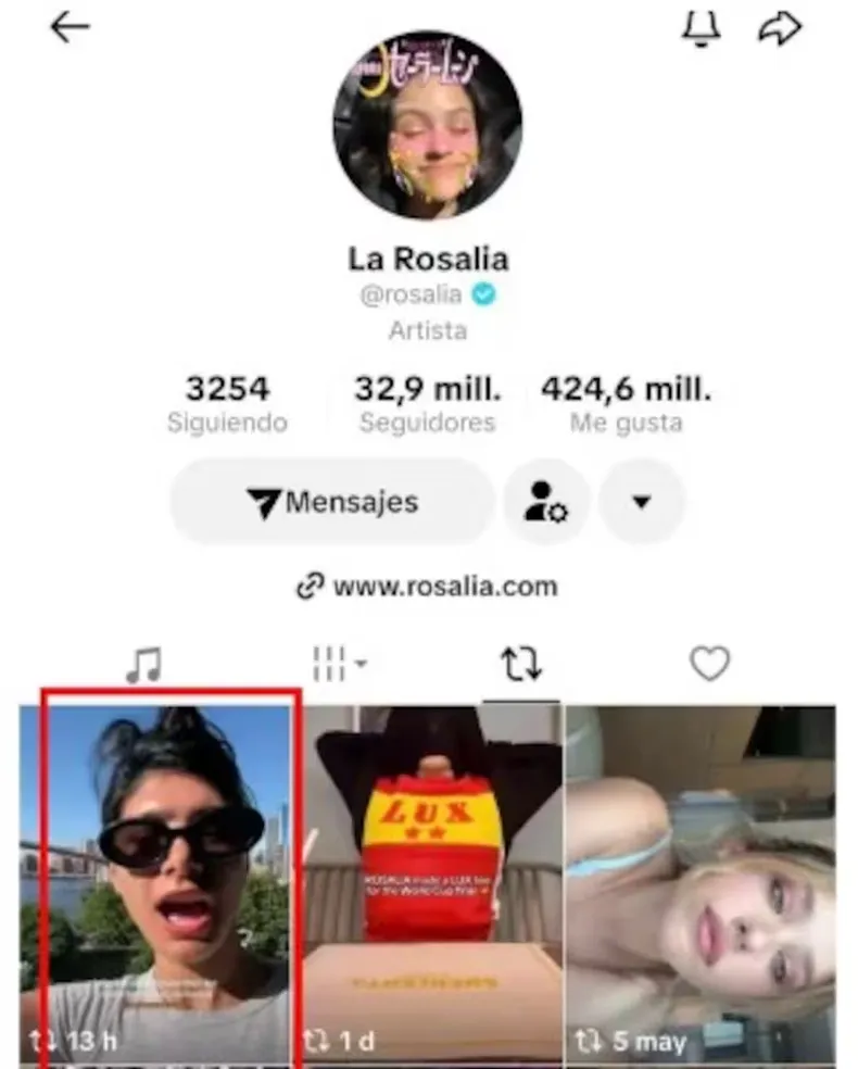 El gesto de Rosalía generó una ola de comentarios en redes sociales. (TikTok @rosalia).
