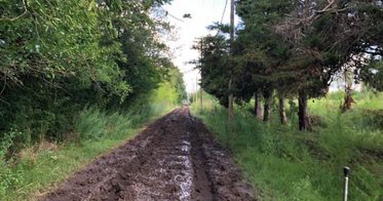Me gustaría que hagan una publicación respecto a la situación que estamos pasando. Estamos en San Alejo, sobre la calle Levene, y cada vez que llueve es casi imposible transitar. Es una calle sin cortadas donde vivimos con nuestros hijos. Tenemos hijos que llevar al cole y sin un vehículo 4x4 nos es imposible salir. Me gustaría que llegue a oídos de nuestro intendente que sé que está haciendo muchas obras, pero necesito alguna solución a nuestro problema. Estamos en el final de la calle totalmente olvidada. Muchas gracias. Ayelén Luque.