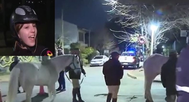 La joven que ayudó a rescatar a los caballos y los animales siendo llevados nuevamente a Campo de Mayo.