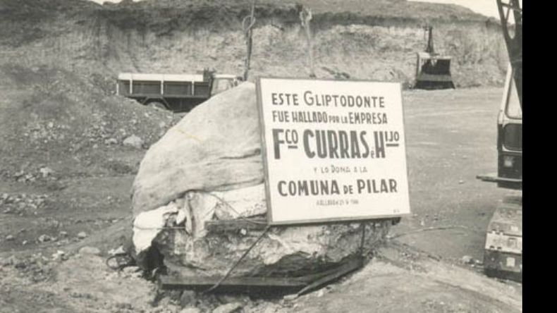 Hallazgo de restos de un gliptodonte en una tosquera del barrio Carabassa, en la década del 60..