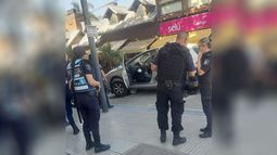 Hermosas las tortuguitas del intendente @FedericoAchaval. Pasó recién en San Martín e Yrigoyen. ???? ????????! / @RealFlaviaG.