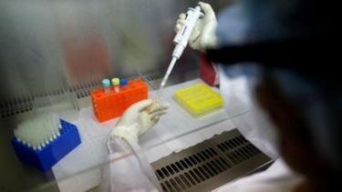 Ascienden a 60 los casos confirmados de Covid-19 en el distrito