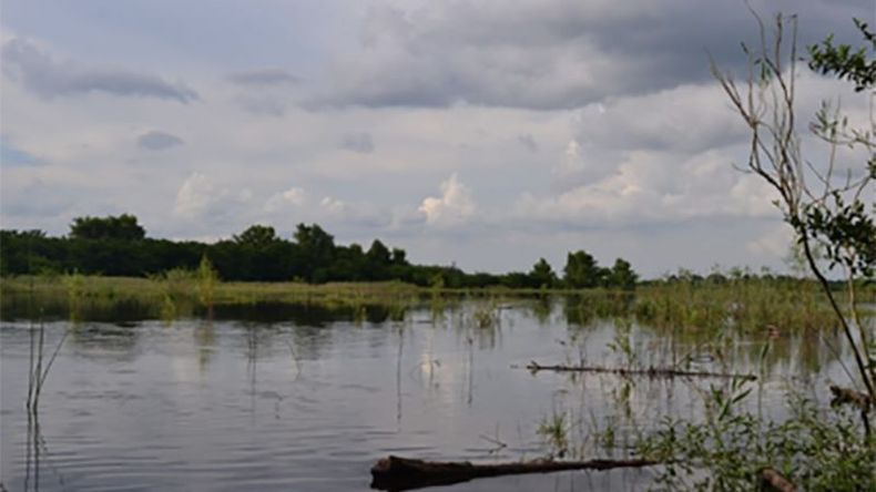 f800x450 100578_152024_5050.jpg