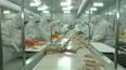 Los trabajadores de Granja Tres Arroyos fueron suspendidos hasta el mes de septiembre.&nbsp;