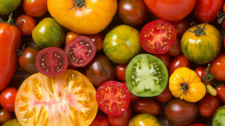 f800x450 118722_170168_5050.png