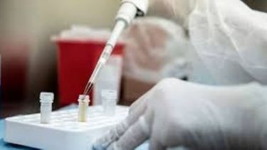 Prueban vacunas contra el coronavirus