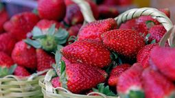 Llega a Pilar una nueva edición de la Fiesta Pilarense de la Frutilla