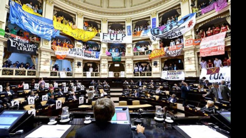 Banderas en Diputados. Diferentes agrupaciones celebraron la media sanción..