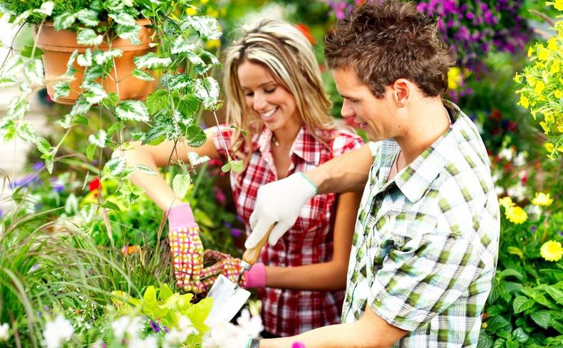 7 consejos para cuidar el jardín de Verano. (bekiahogar.com)..jpg