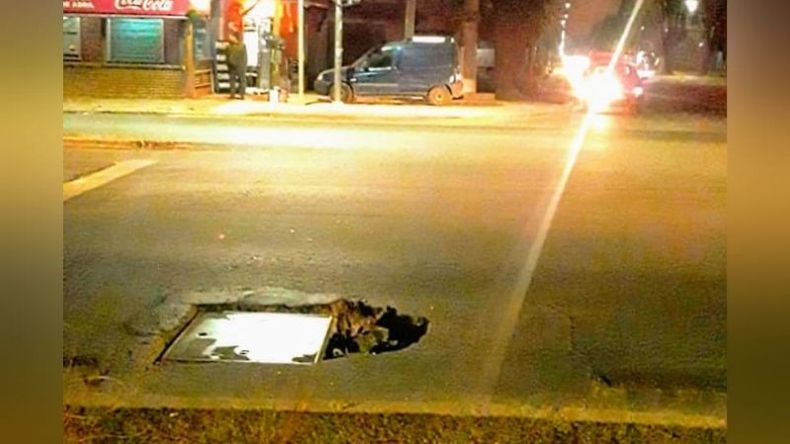 Lo pozos son capaces de desestabilizar a los vehículos que circulan por la calzada. Foto @juancaimpacto. .