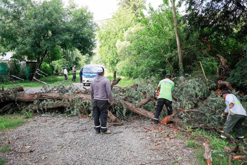 Las cuadrillas municipales continúan trabajando en la calle para paliar las consecuencias del temporal.&nbsp;