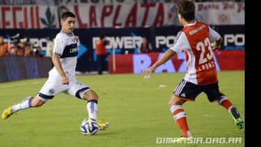 Gato en el Monumental