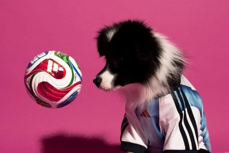 La camiseta argentina tendrá versión para perros. (Adidas). webp