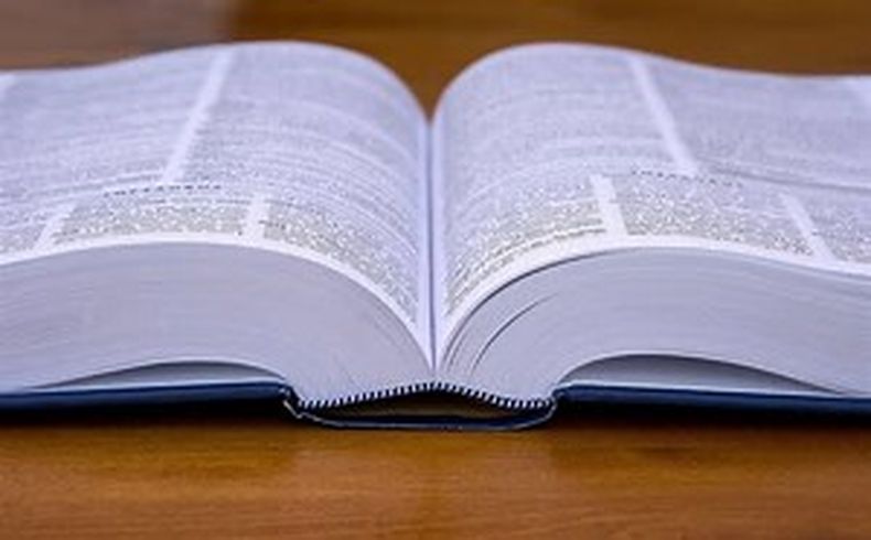 La RAE tiene la capacidad de agregar o eliminar letras. (COPE).jpg