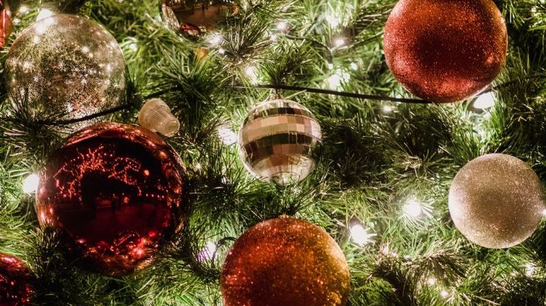 De dónde surge la tradición de armar el árbol de Navidad? - RED/ACCIÓN