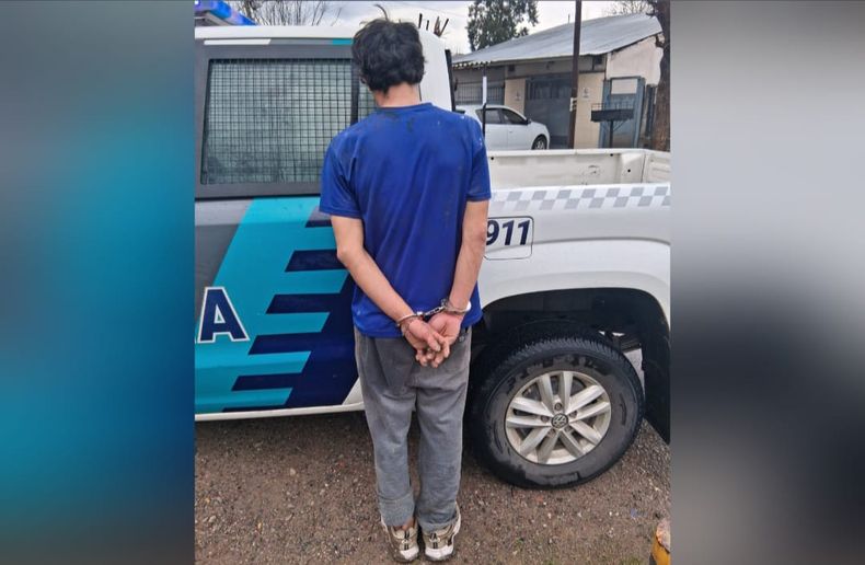 El hombre detenido se estaba peleando con su hermano cuando llegó la policía.