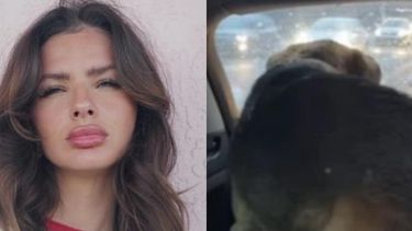 La China Suárez rescató a un perro que estaba perdido en la Panamericana.&nbsp;