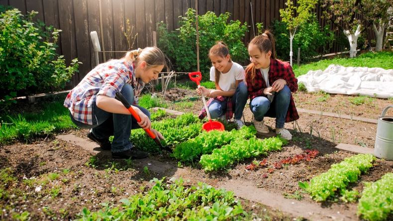 ¿Cómo organizar la huerta en primavera? (tekimport.fr)..jpg