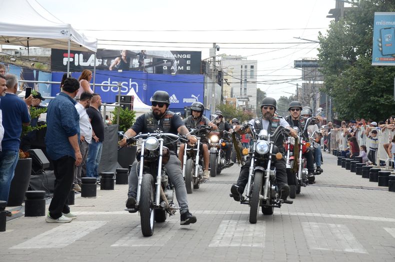d17.jpg