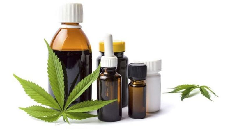 CANNABIS MEDICIAL. Primera investigación para su uso en tratamientos de cáncer..