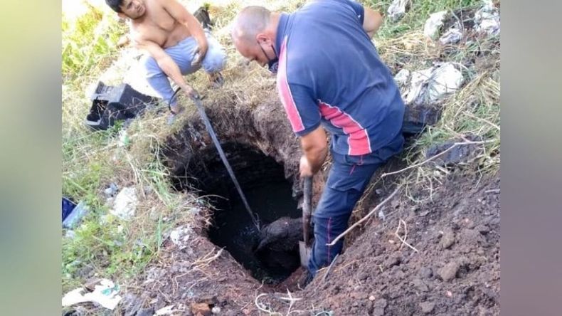 El caballo había caído a un pozo con agua de 3 metros de profundidad. Foto @juancaimpacto.