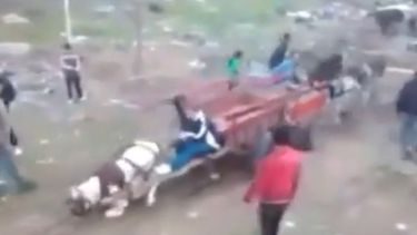 BARBARIE. Una de las cinchadas que se realizan en la zona..