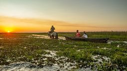 Esteros del Iberá, el destino argentino más fascinante