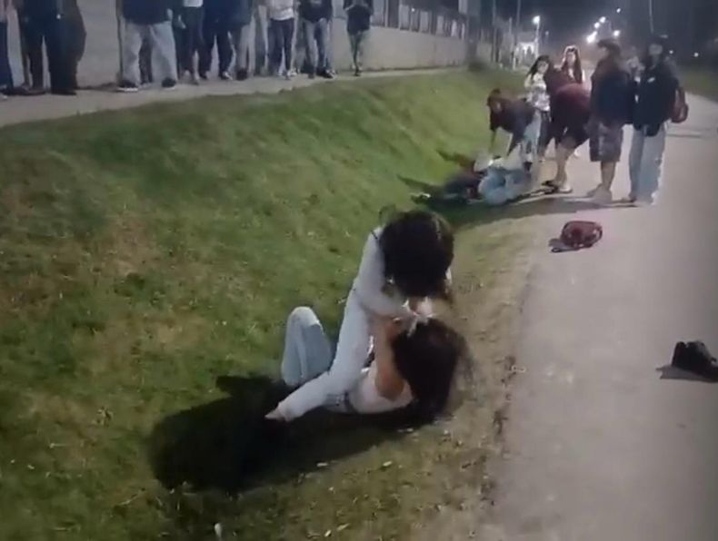 pelea.jpeg
