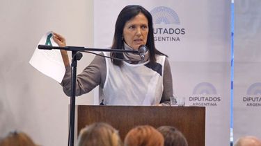 APOYO. Piñeiro siempre le dio un fuerte respaldo a la ley..