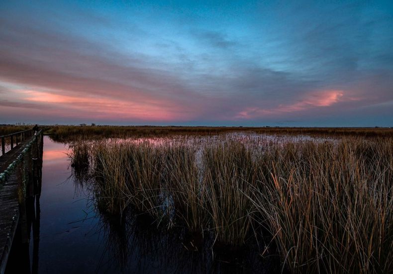 Parque Nacional Ciervo de los Pantanos. (larutanatural.com.ar)..jpg