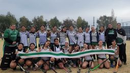 La Séptima División del Verde es campeona anticipada de AHBA.