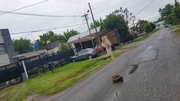 Foto de lectores