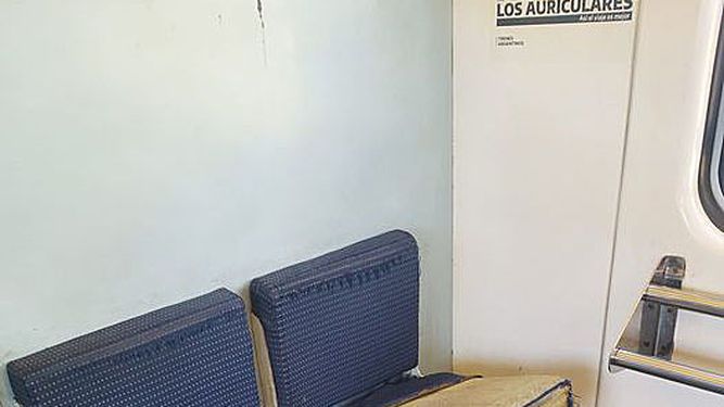 La verdad que da asco viajar en el pulgoso Tren San Martín. Lau Cano.&nbsp;