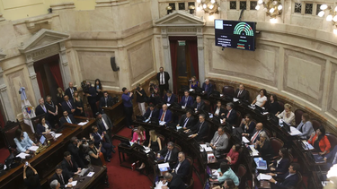 ELECCIONES. El Senado acompañó el proyecto de Milei suspender las PASO.