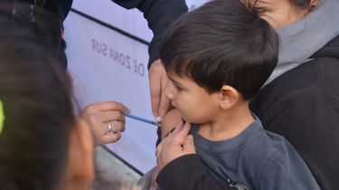La vacunación de los niños es fundamental para evitar la tos convulsa y otras enfermedades.