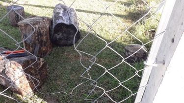 Seguidilla. Durante el fin de semana largo robaron en una vivienda e intentaron ingresar a otra. .