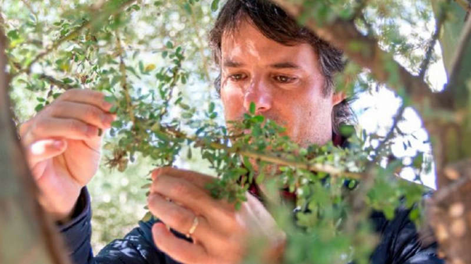 El argentino Pedro Jaureguiberry ganó el premio Frontiers Planet, el Nobel de Ecología