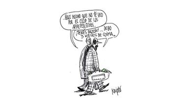 Humor