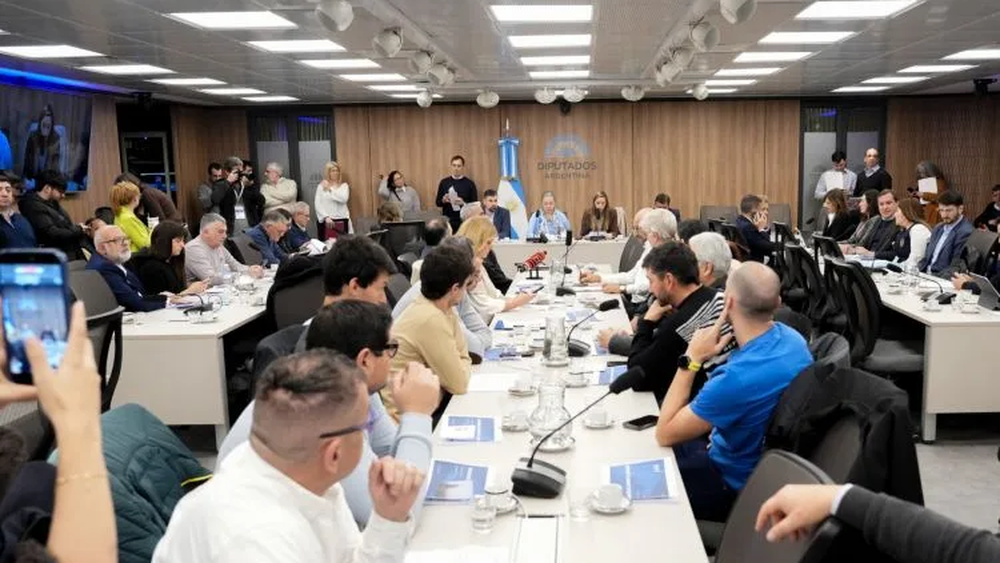 EN CRSIS. Trabajadores y empresarios expusieron en la comisión de Economía de Diputados.
