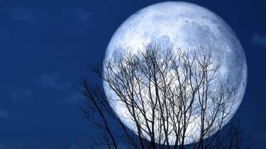 Luna Llena en Géminis, la última Luna Llena del año: ¿cómo aprovechar su energía?