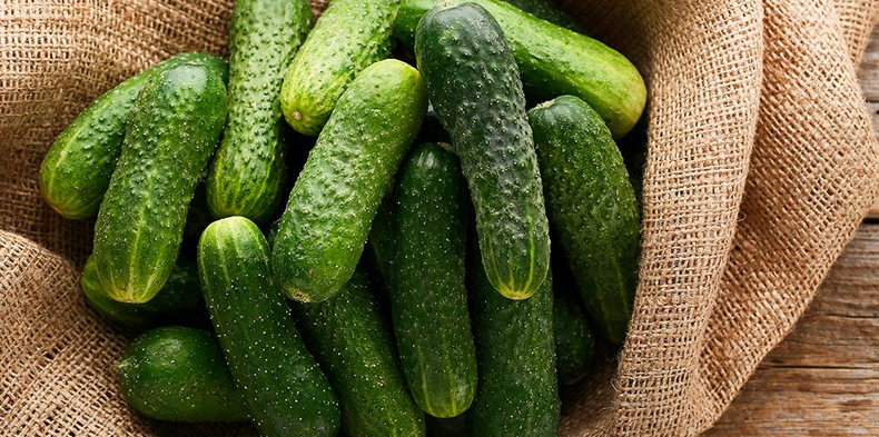 Pepinos. (elmercadodelafruta.es)..png