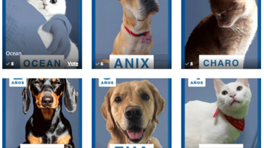 Puppis lanza la campaña “Una Pasión Animal” en busca de El 11 de Puppis. ¿Cómo participar?