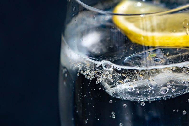 Este gin es un viaje sensorial. (Los Andes)..jpg
