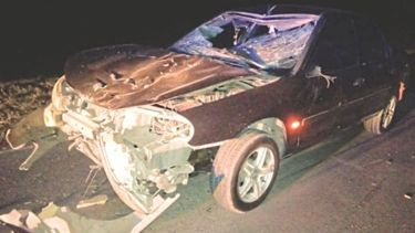 El Frente del Ford Mondeo resultó destruido tras impactar con la vaca. Foto @juancaimpacto.