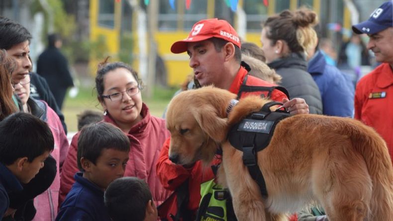 Tango, de la unidad canina..