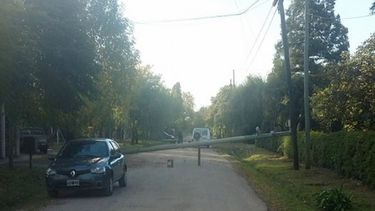 Barrio Dos Rutas, sin luz por caída de postes