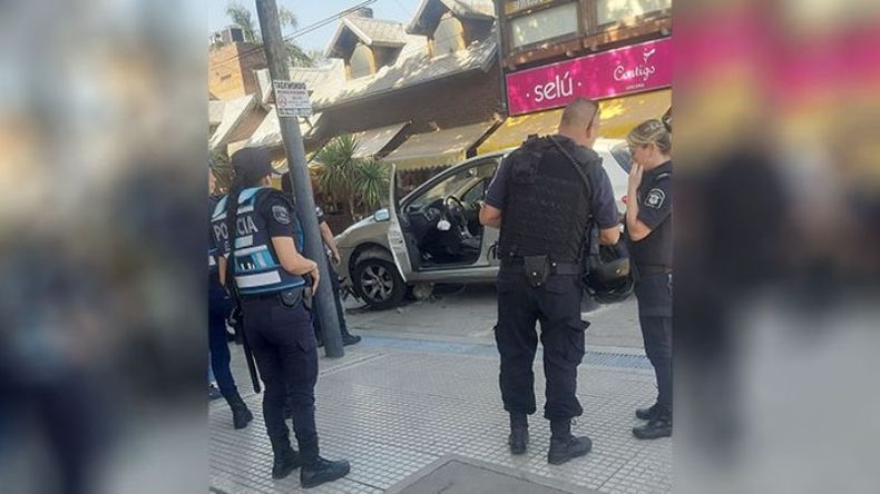 Hermosas las tortuguitas del intendente @FedericoAchaval. Pasó recién en San Martín e Yrigoyen. ???? ????????! / @RealFlaviaG.